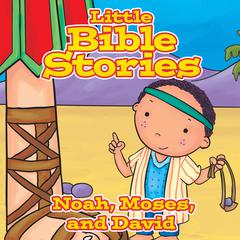 Little Bible Stories: Noah, Moses, and David Audiobook, by Various 