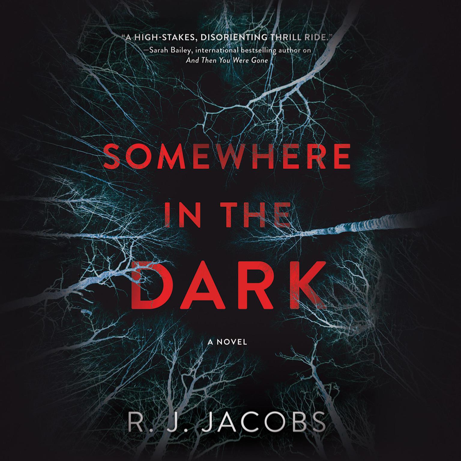 Somewhere in the Dark Audiobook, by R. J. Jacobs