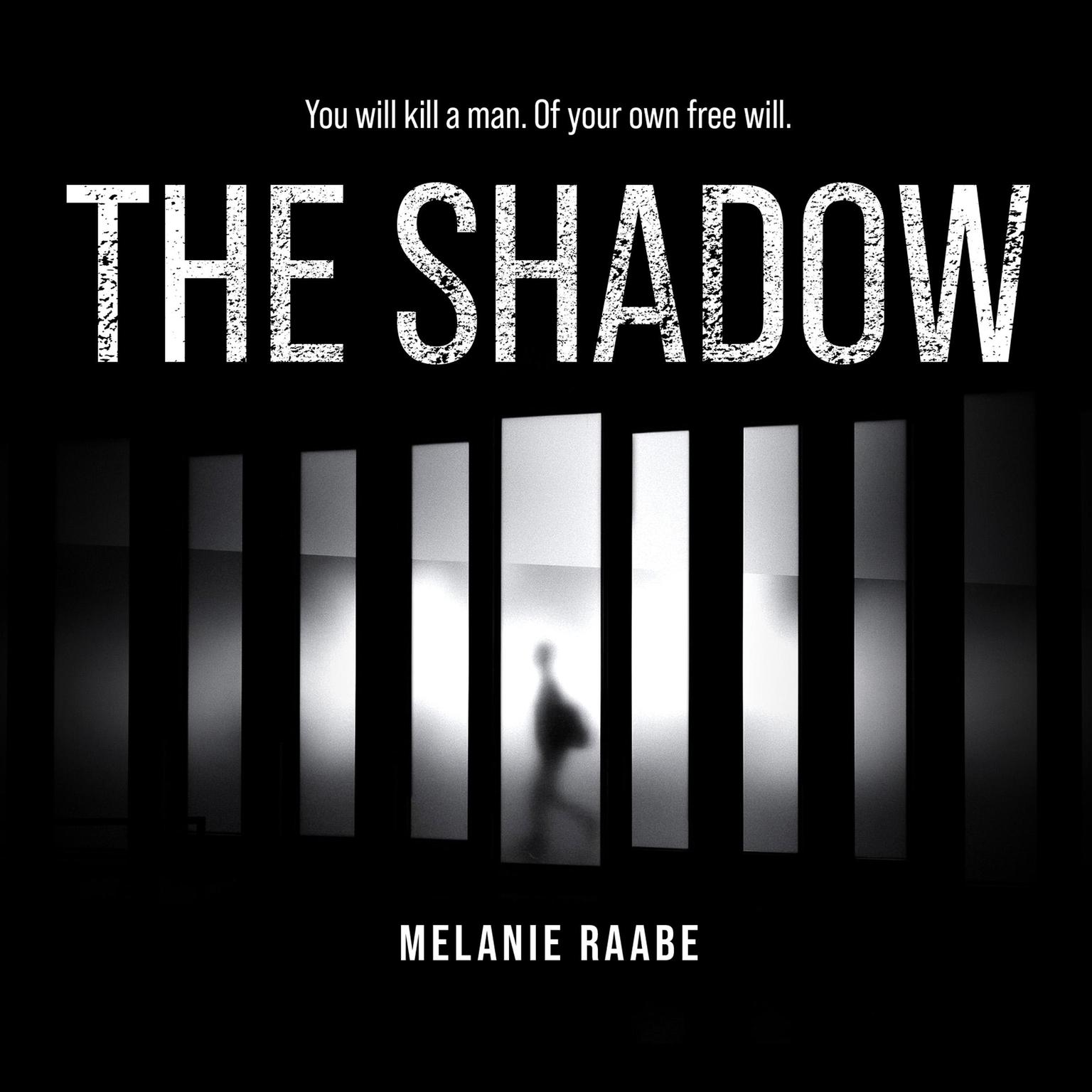 The Shadow Audiobook, by Melanie Raabe