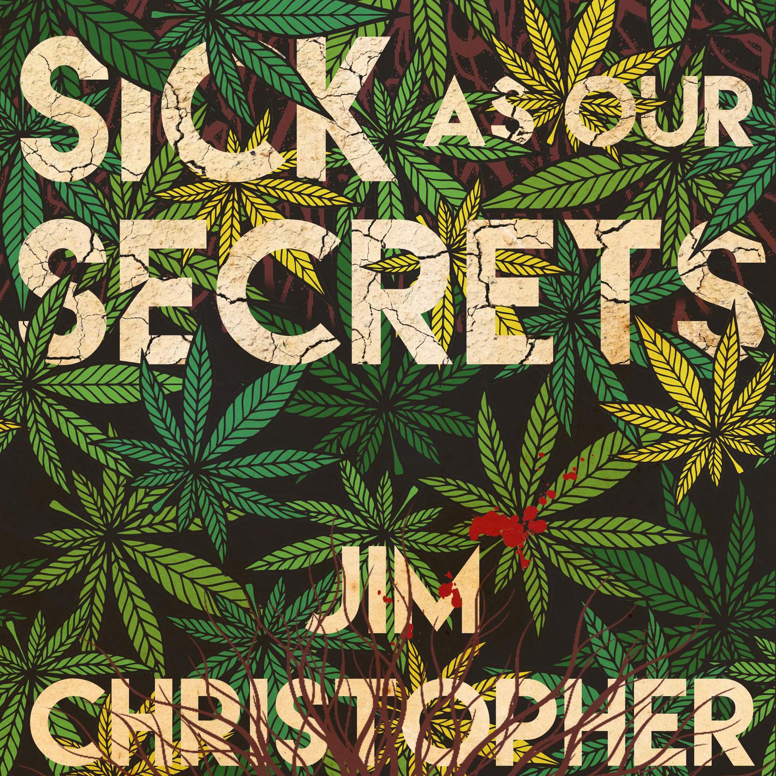 Sick as Our Secrets Audiobook, by Jim Christopher