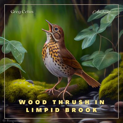 Wood Thrush in Limpid Brook: Gentle Birdsong and Water Trickle Audiobook, by Greg Cetus