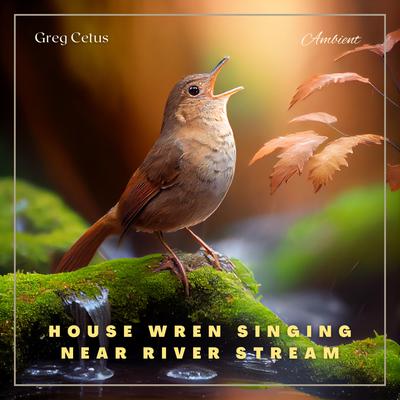 House Wren Singing Near River Stream: Atmospheric Audio for Enlightenment Audiobook, by Greg Cetus