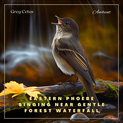 Eastern Phoebe Singing Near Gentle Forest Waterfall: Natural Ambience for Coding and Meditation Audiobook, by Greg Cetus