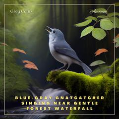 Blue-gray Gnatcatcher Singing Near Gentle Forest Waterfall: Nature Sounds for Yoga and Relaxation Audiobook, by Greg Cetus