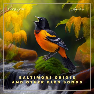 Baltimore Oriole and Other Bird Songs: Nature Sounds for Yoga and Relaxation Audiobook, by Greg Cetus