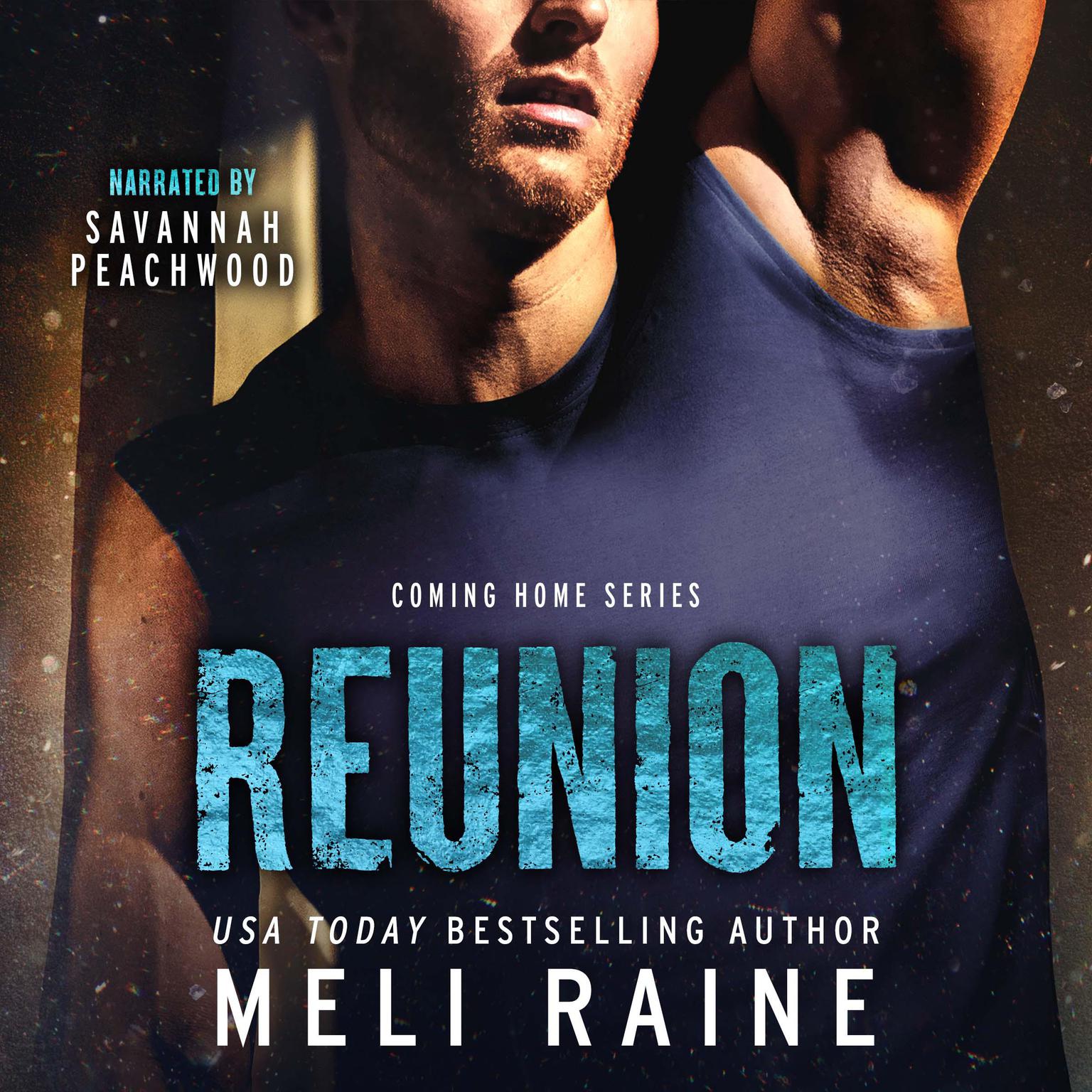 Reunion Audiobook, by Meli Raine