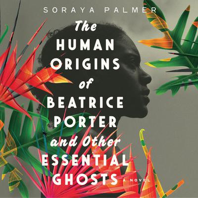 The Human Origins of Beatrice Porter and Other Essential Ghosts Audiobook, by Soraya Palmer