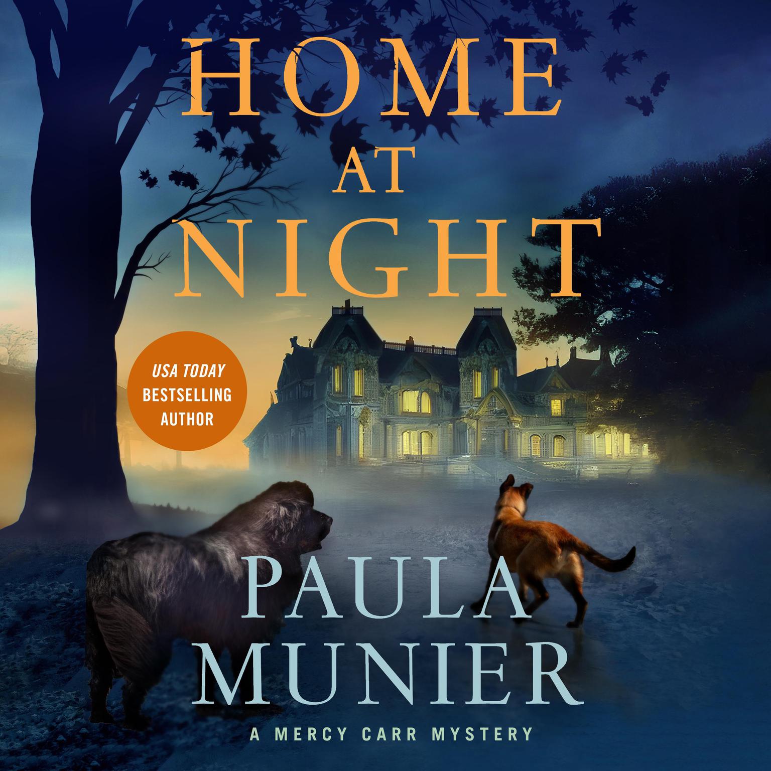 Home at Night Audiobook, by Paula Munier