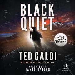 Black Quiet Audiobook, by Ted Galdi