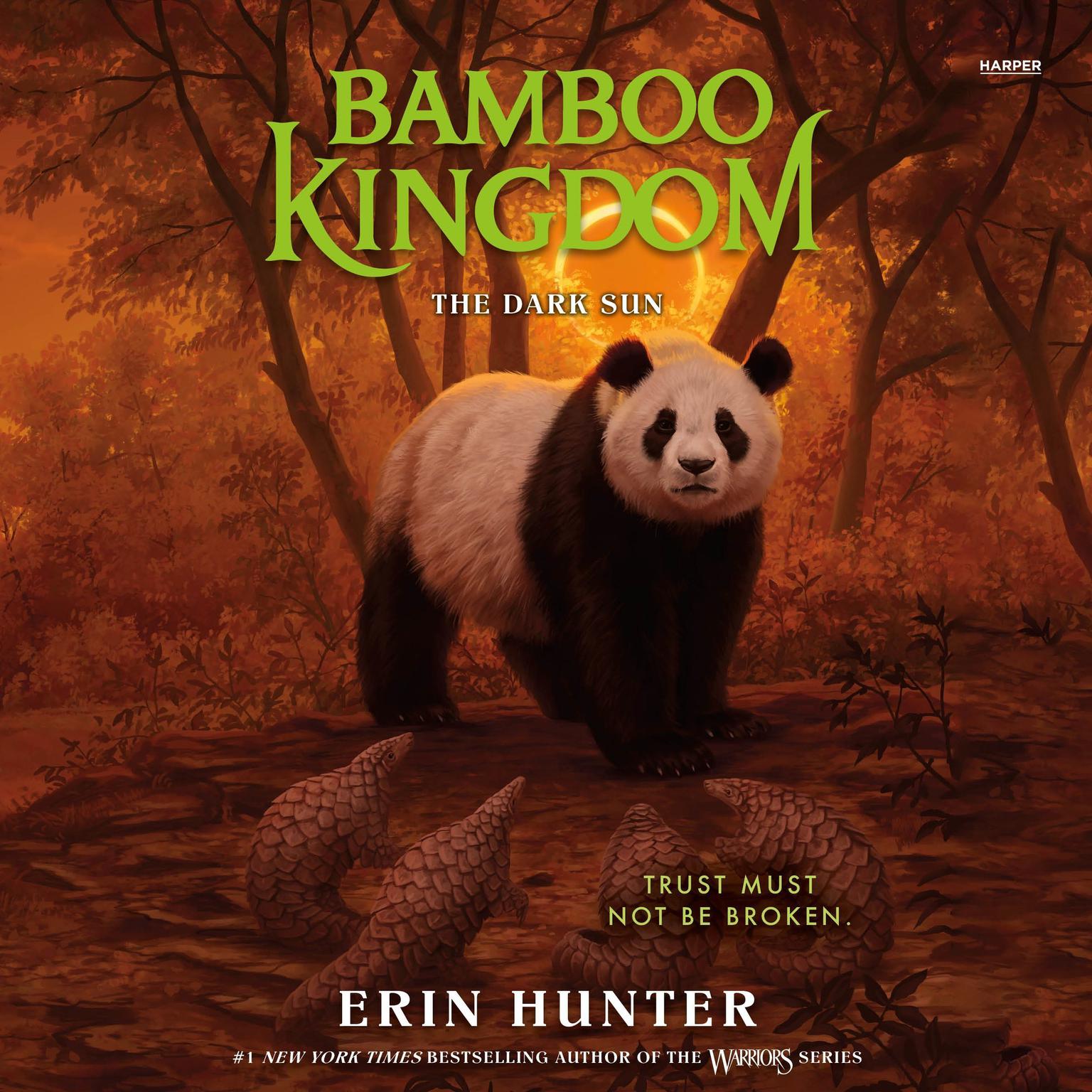Bamboo Kingdom #4: The Dark Sun Audiobook, by Erin Hunter