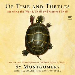 Of Time and Turtles: Mending the World, Shell by Shattered Shell Audiobook, by Sy Montgomery