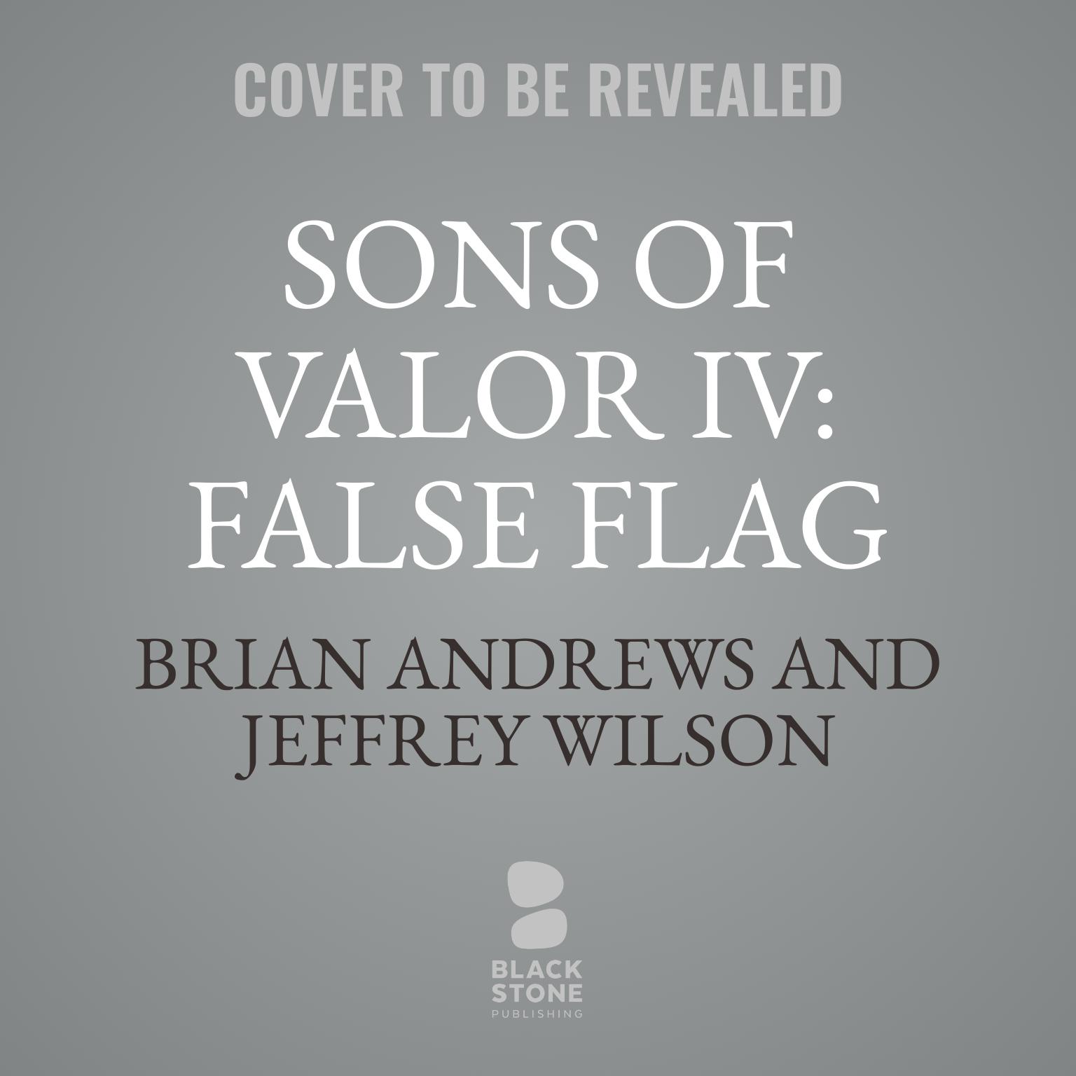 Sons of Valor IV: False Flag Audiobook, by Brian Andrews