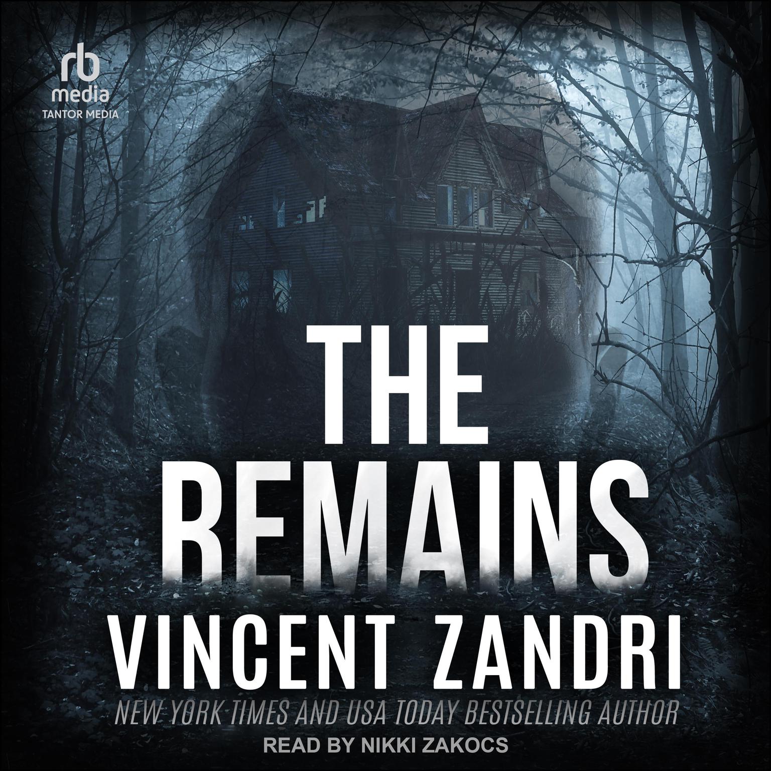 The Remains Audiobook, by Vincent Zandri