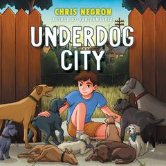 Underdog City Audiobook, by Chris Negron