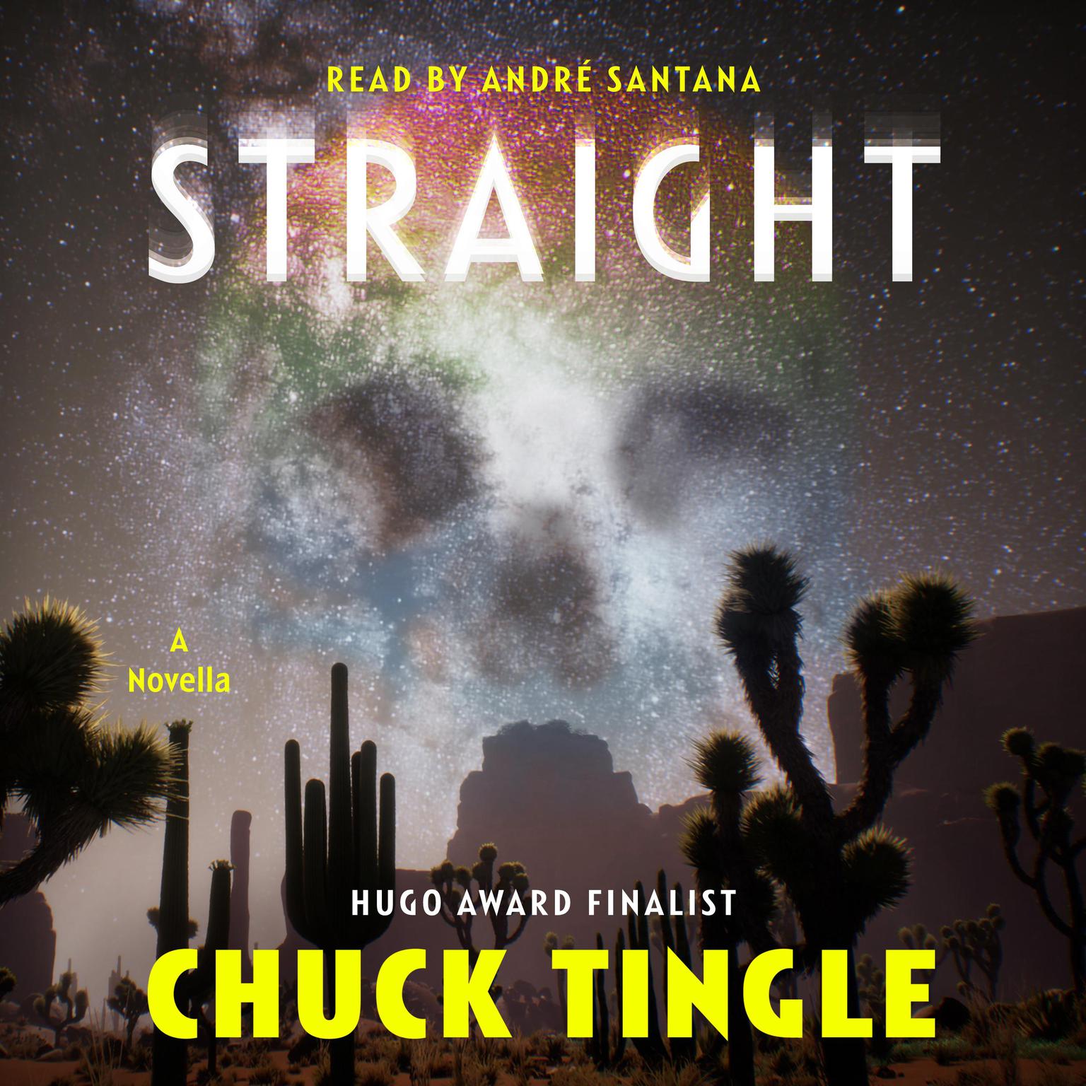 Straight Audiobook, by Chuck Tingle