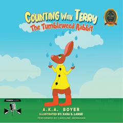 Counting With Terry Audiobook, by A.K.A Boyer