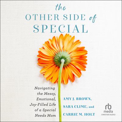 The Other Side of Special: Navigating the Messy, Emotional, Joy-Filled Life of a Special Needs Mom Audiobook, by Amy J. Brown