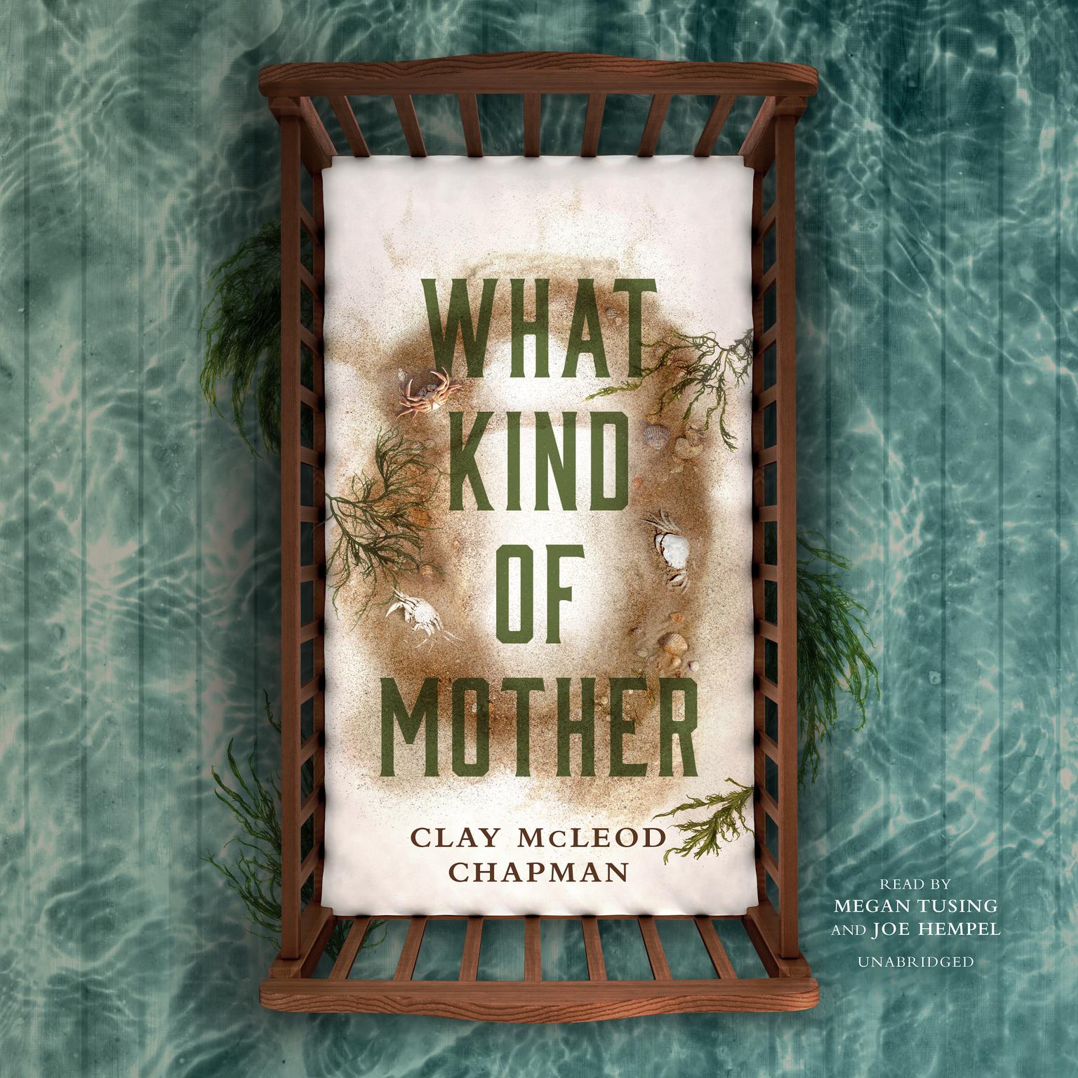 What Kind of Mother: A Novel Audiobook, by Clay McLeod Chapman