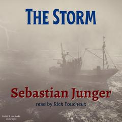 The Storm Audiobook, by Sebastian Junger