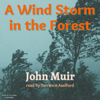 A Wind Storm In The Forest Audiobook, by John Muir