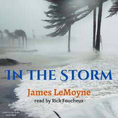 In The Storm Audiobook, by James LeMoyne