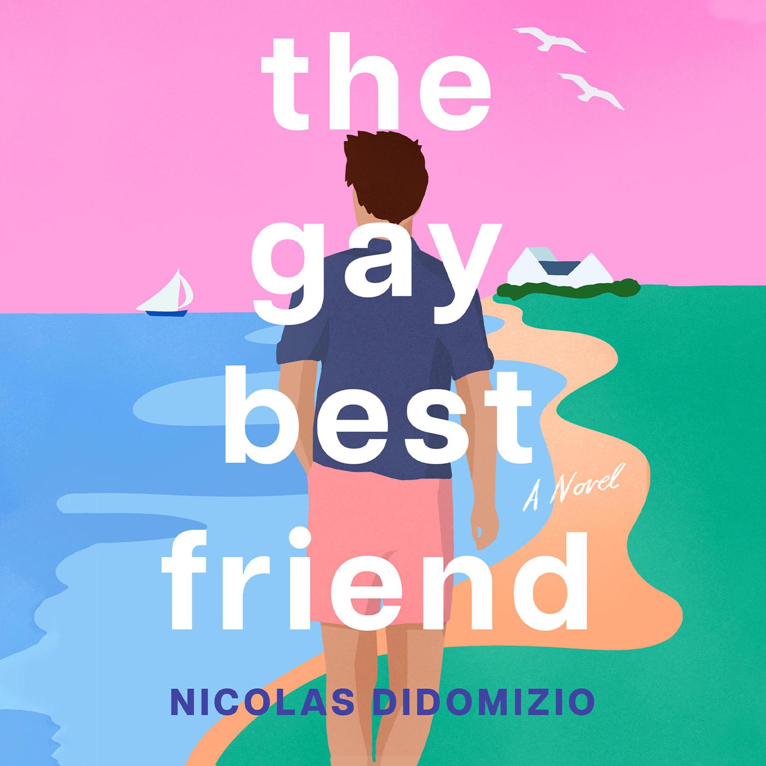 The Gay Best Friend Audiobook, by Nicholas DiDomizio
