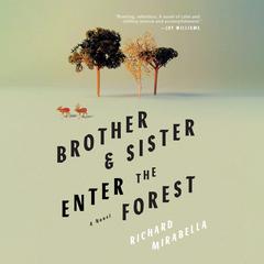 Brother & Sister Enter the Forest Audiobook, by Richard Mirabella