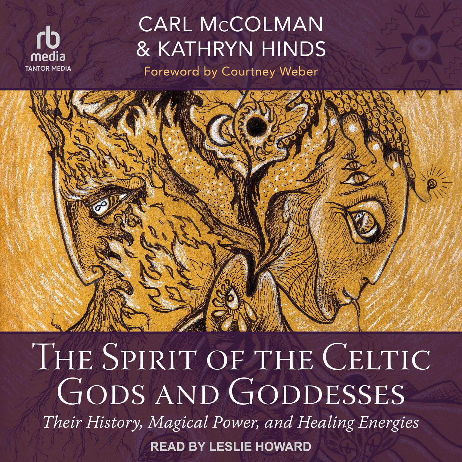 The Spirit of the Celtic Gods and Goddesses: Their History, Magical Power, and Healing Energies Audiobook, by Kathryn Hinds