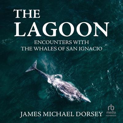The Lagoon: Encounters with the Whales of San Ignacio Audiobook, by James Michael Dorsey