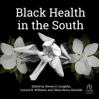 Black Health in the South Audiobook, by Lovoria B. Williams