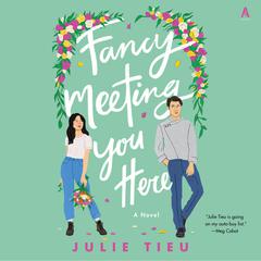 Fancy Meeting You Here: A Novel Audiobook, by Julie Tieu