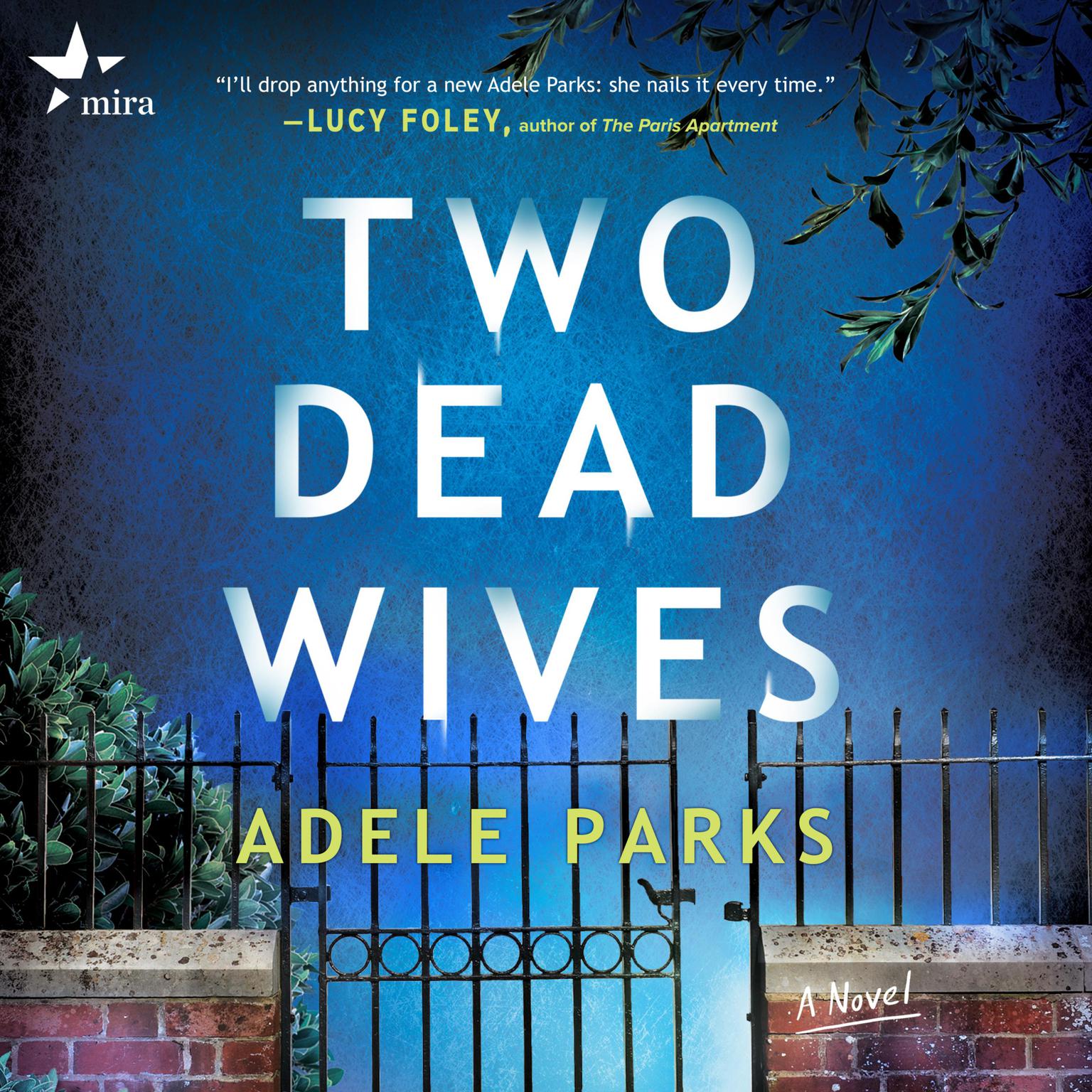Two Dead Wives Audiobook, by Adele Parks