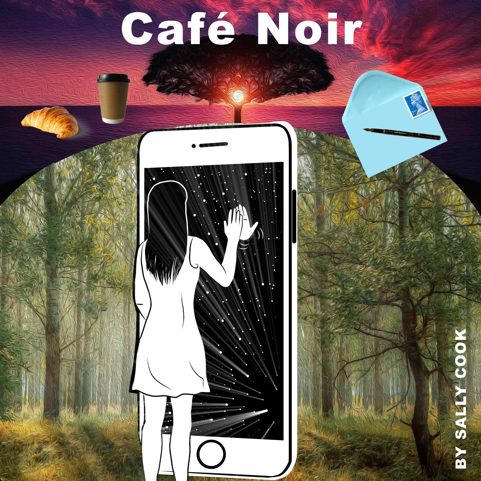 Cafe Noir Audiobook, by Sally Cook