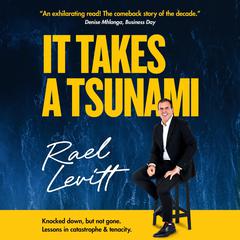 It takes a Tsunami Audiobook, by Rael Levitt