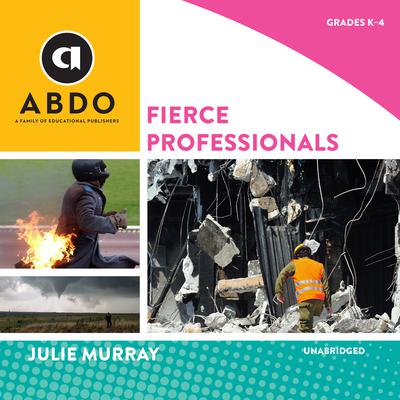 Fierce Professionals Audiobook, by Julie Murray
