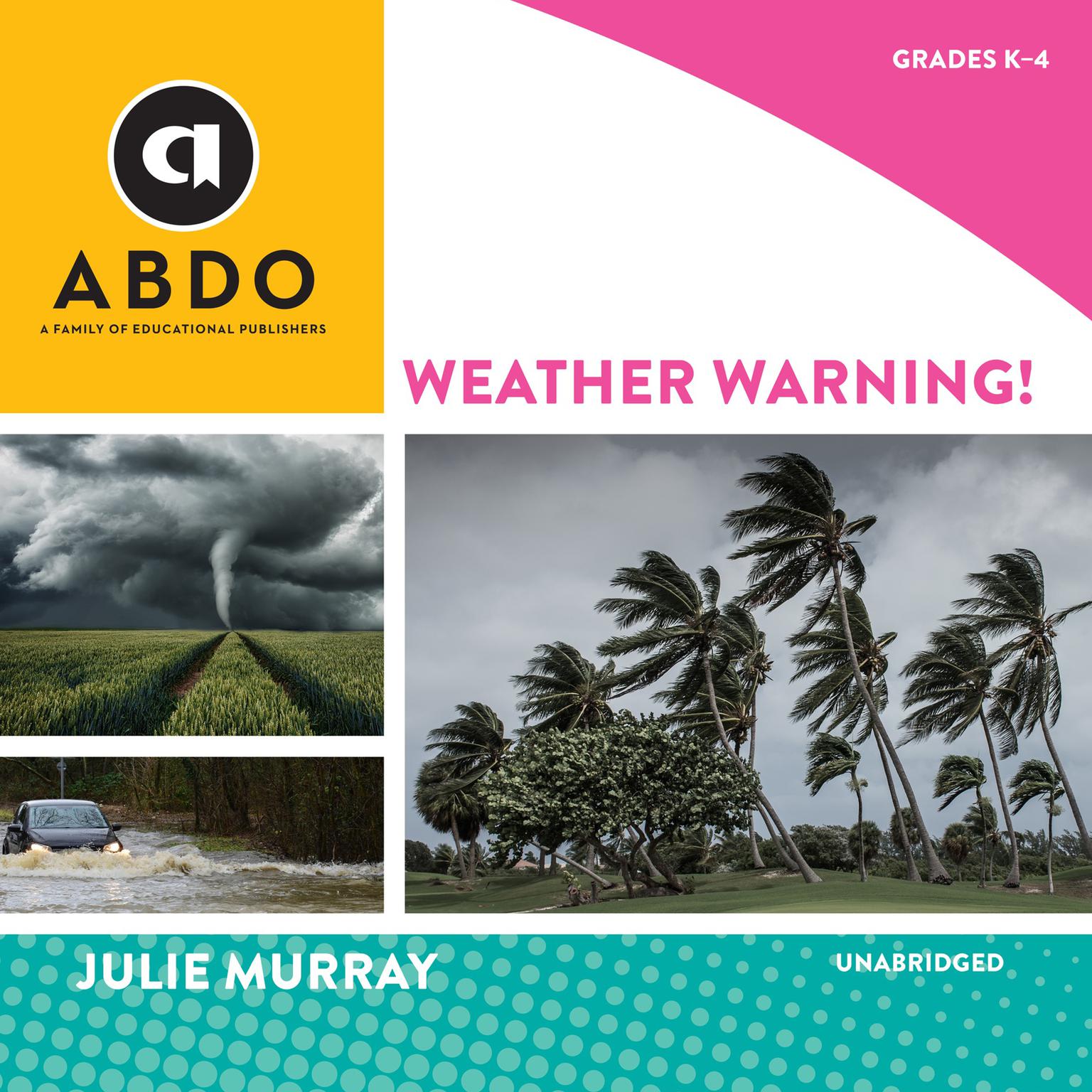 Weather Warning! Audiobook, by Julie Murray