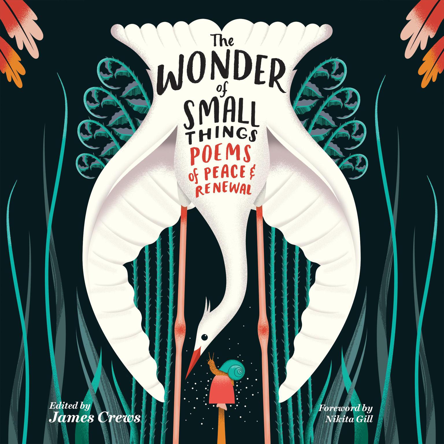 The Wonder of Small Things: Poems of Peace and Renewal Audiobook, by James Crews