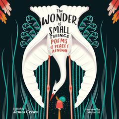 The Wonder of Small Things: Poems of Peace and Renewal Audiobook, by James Crews