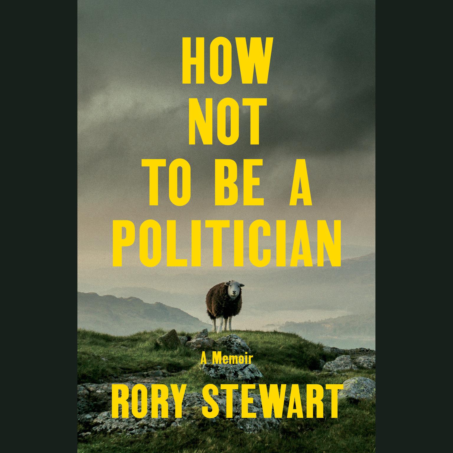How Not to Be a Politician: A Memoir Audiobook, by Rory Stewart