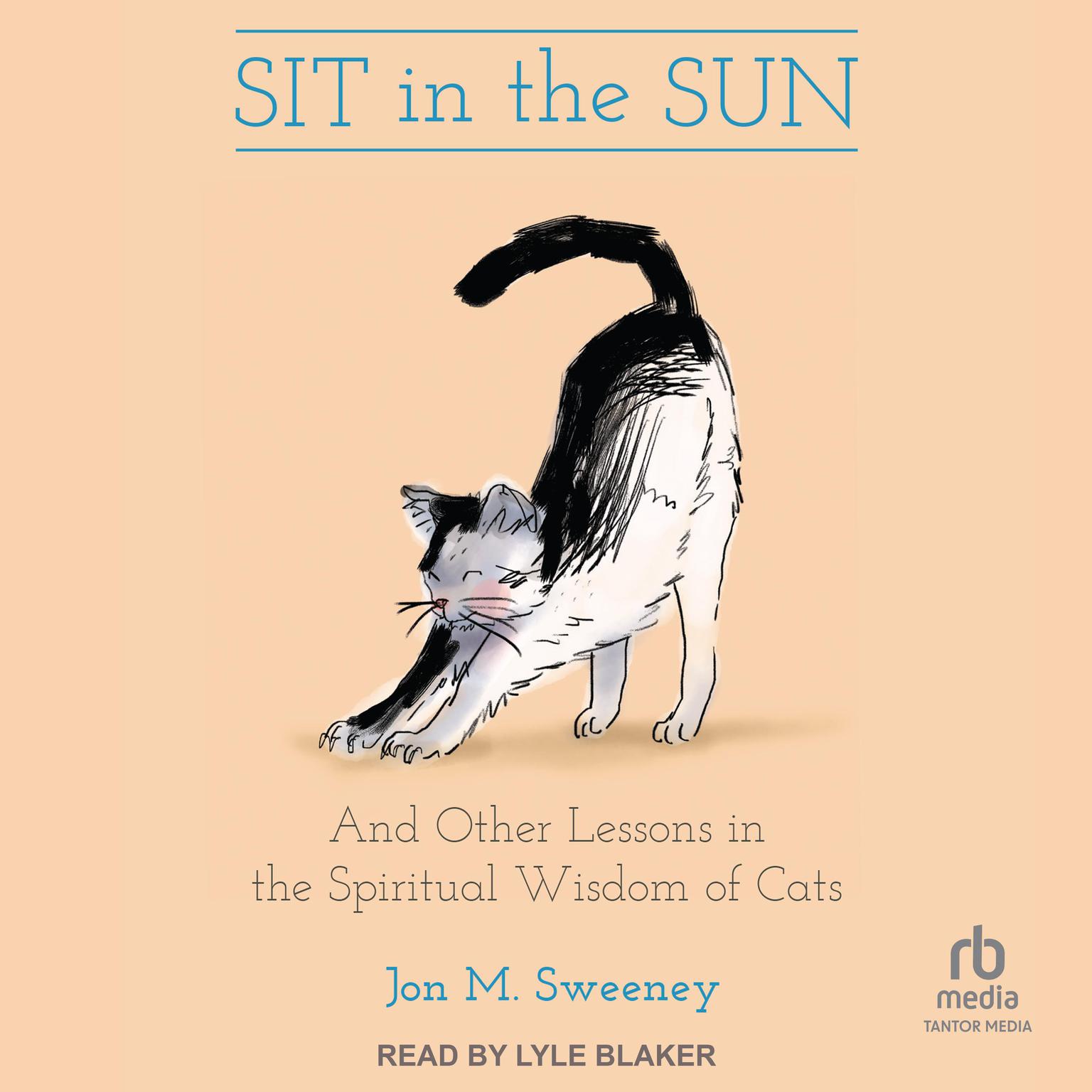 Sit in the Sun: And Other Lessons in the Spiritual Wisdom of Cats Audiobook, by Jon M. Sweeney