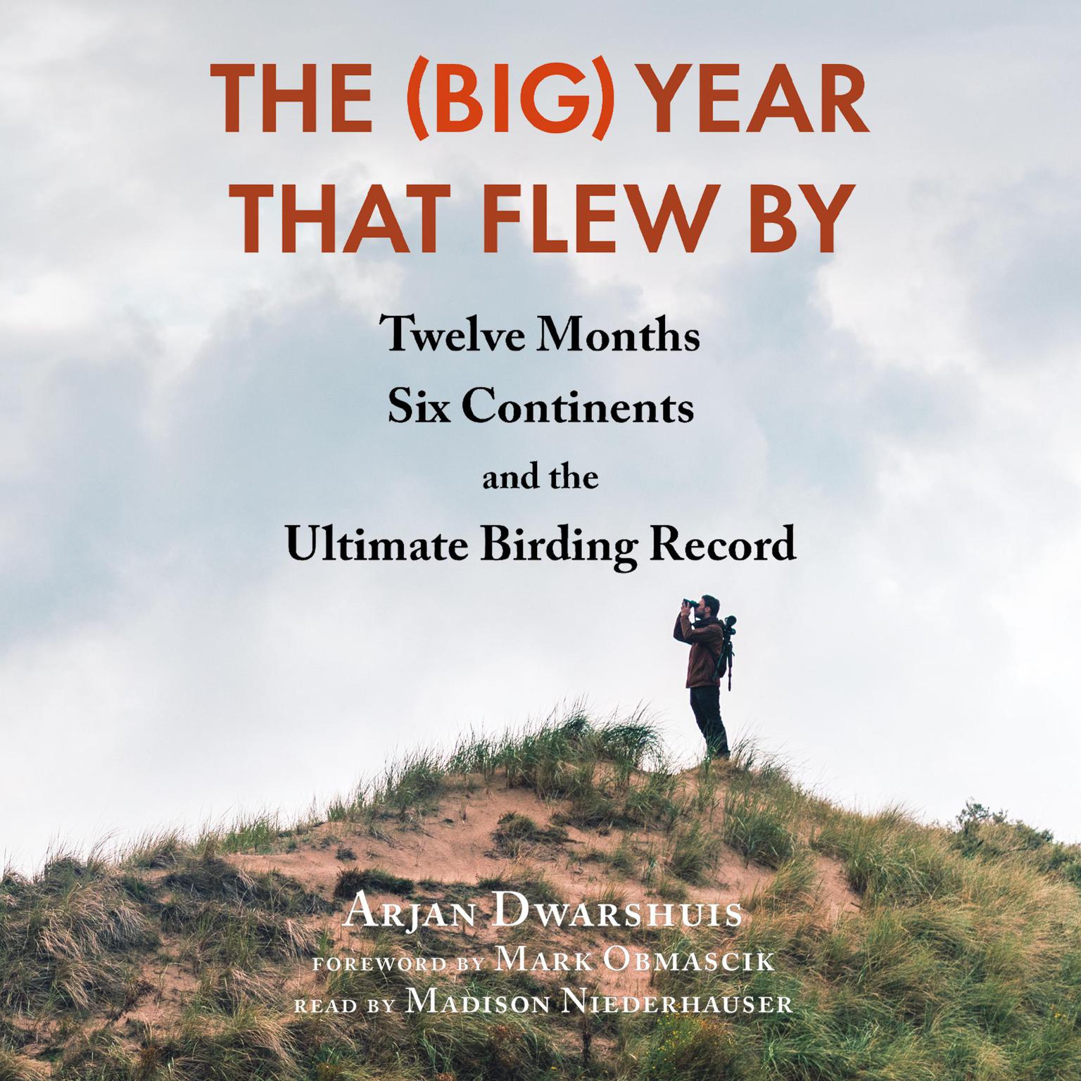 The (Big) Year That Flew By: Twelve Months, Six Continents, and the Ultimate Birding Record Audiobook, by Arjan Dwarshuis