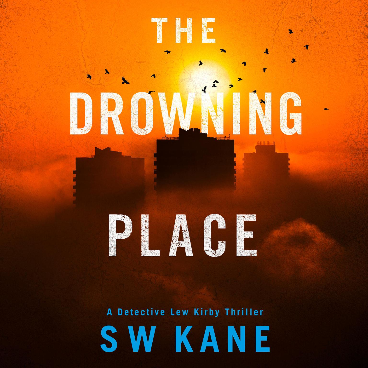 The Drowning Place Audiobook, by S W Kane