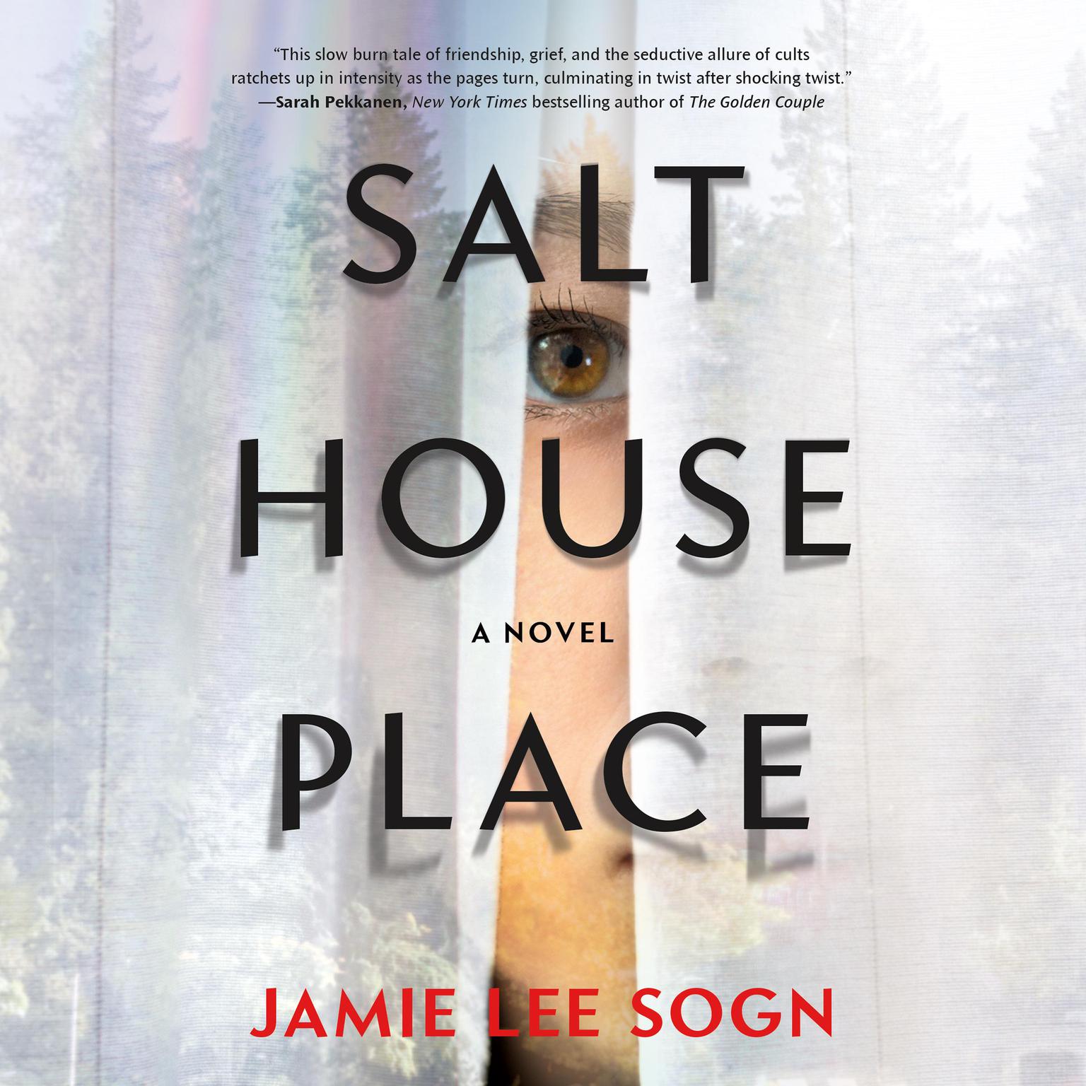 Salthouse Place: A Novel Audiobook, by Jamie Lee Sogn