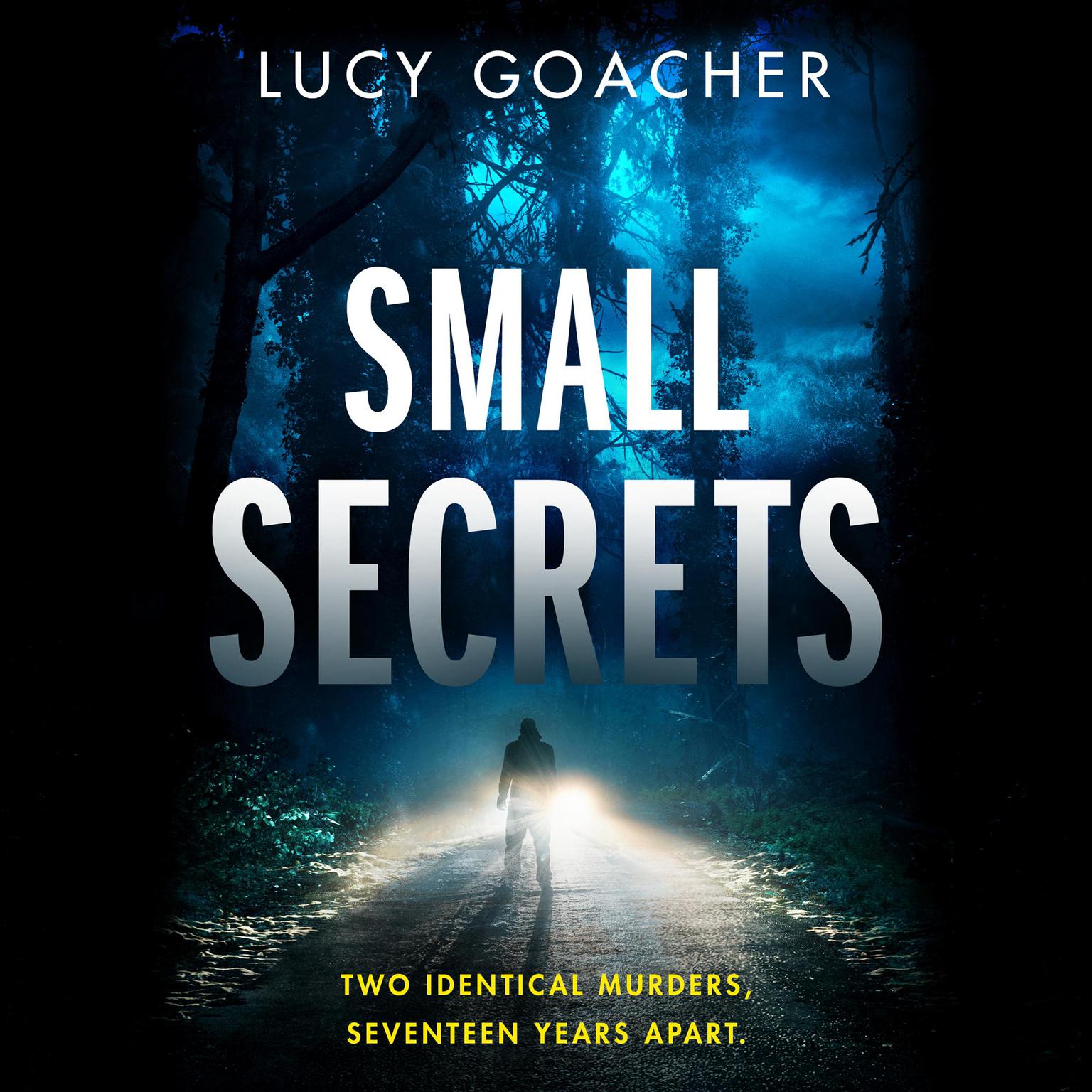 Small Secrets Audiobook, by Lucy Goacher