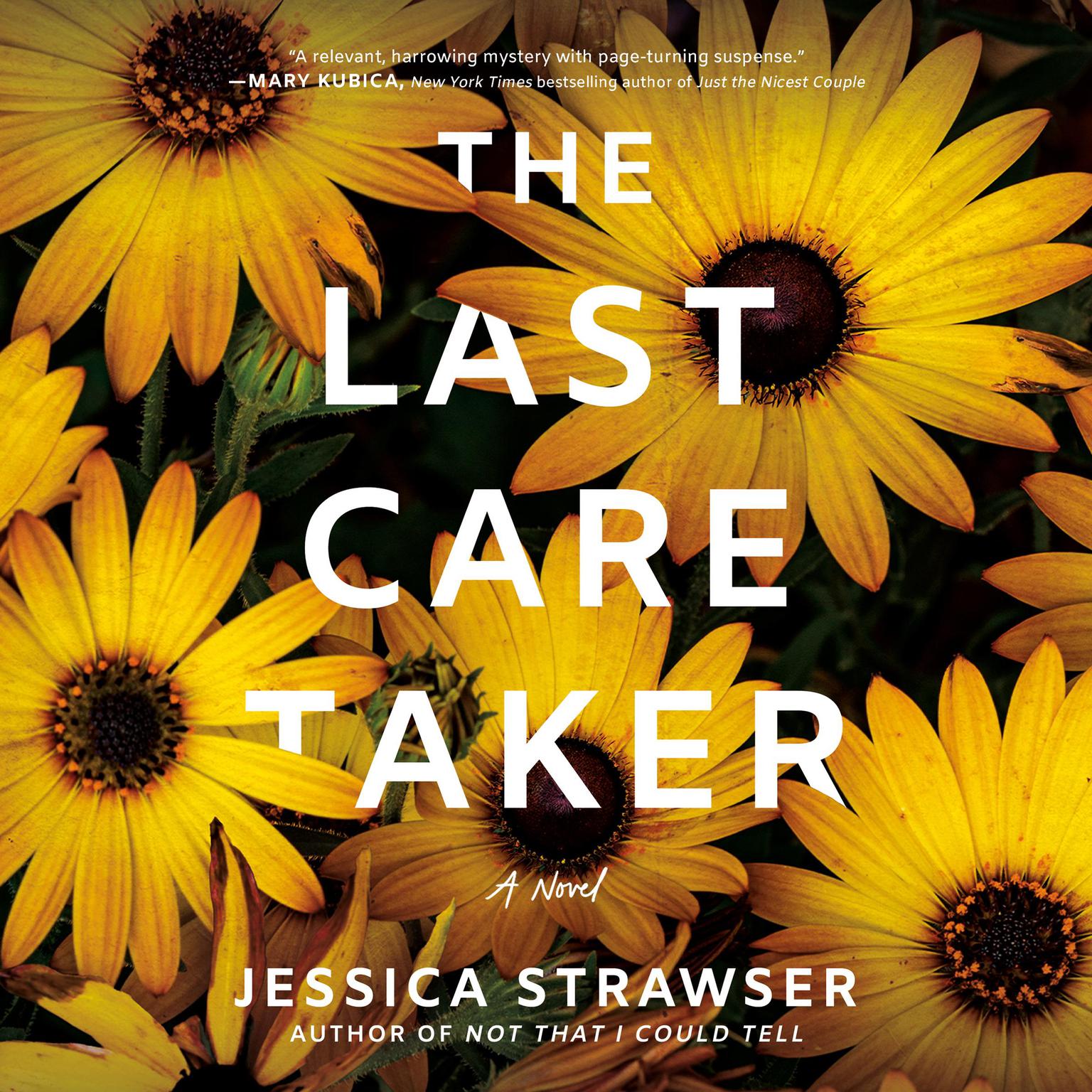 The Last Caretaker: A Novel Audiobook, by Jessica Strawser