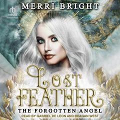 Lost Feather Audiobook, by 