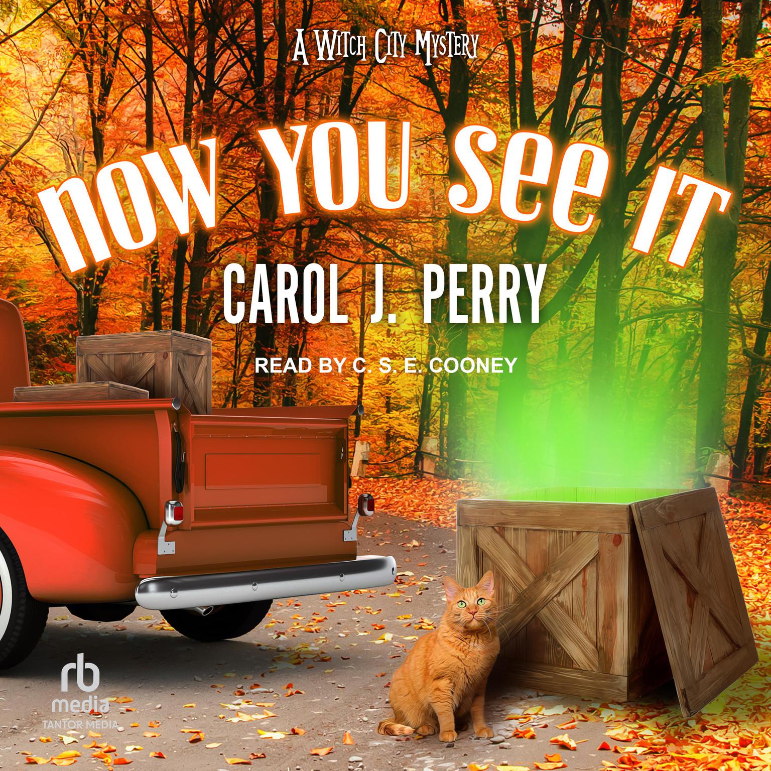 Now You See It Audiobook, by Carol J. Perry