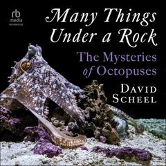 Many Things Under a Rock: The Mysteries of Octopuses Audiobook, by David Scheel