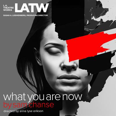 What You Are Now Audiobook, by Sam Chanse