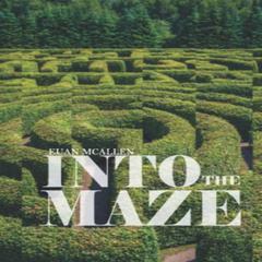 Into the Maze Audiobook, by Euan McAllen